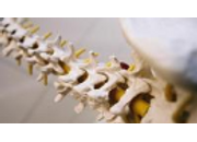 Solna Kiropraktorklinik Anders Lindeberg 