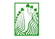 Fotvårdskliniken Åsa Berglund