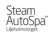 Steam Auto Spa
