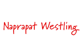 Camilla Westling Leg Naprapat