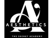 Aesthetics the Secret Academy