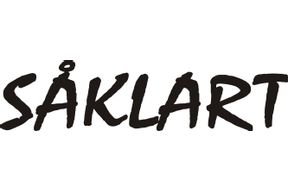 Såklart Fönsterputs