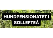Hundpensionatet i Sollefteå