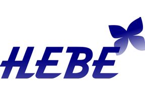 Hebe Städ & Fastighetsservice AB