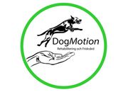 Giertz Dogmotion AB