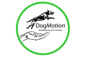 Giertz Dogmotion AB