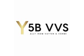 Y5B VVS