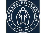 Naprapathögskolans klinik Vasastan