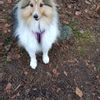 Birgitta D