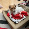 Doubert Gustaf Alexander W