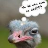 Mats K