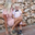 Caroline S